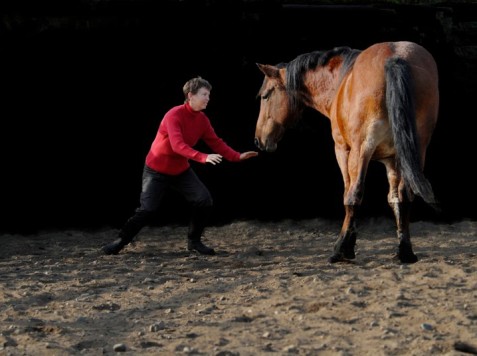 horse dancing